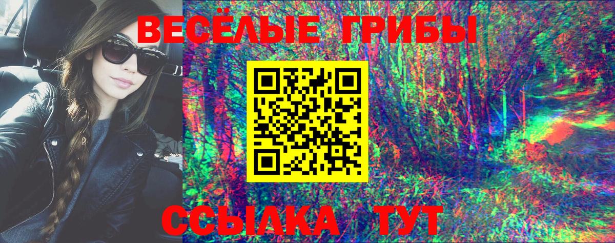 Ставрополь  Псилоцибиновые грибы мухоморы  Вход с VPN 