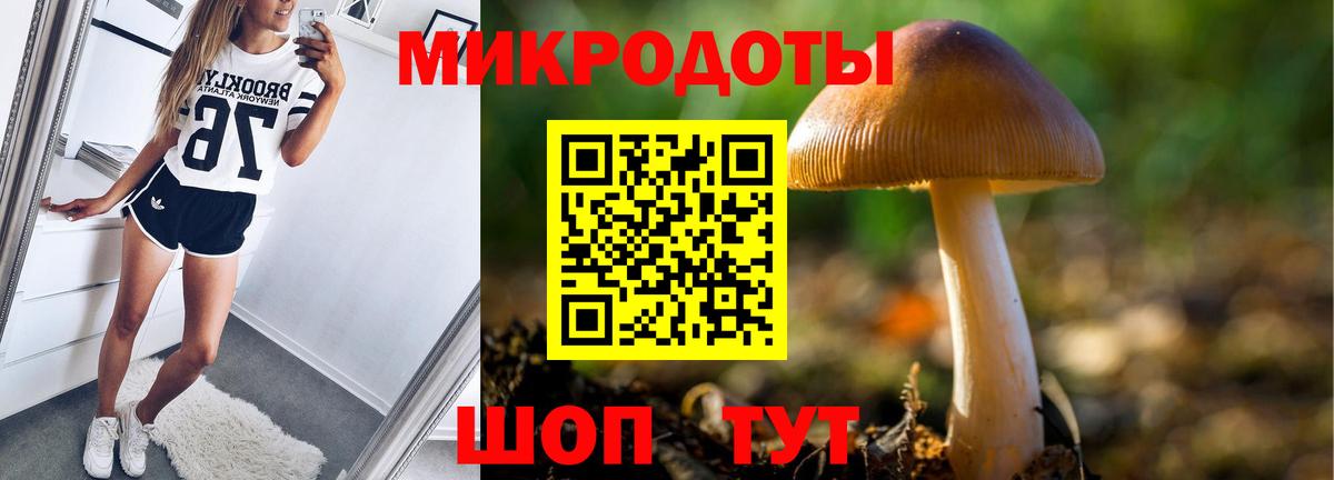 Псилоцибиновые грибы Psilocybe  Галлюциногенные грибы Psilocybine cubensis  Ставрополь 